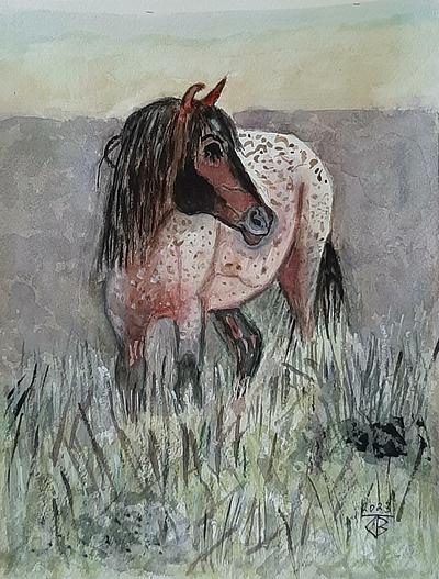 Horse in the Field
