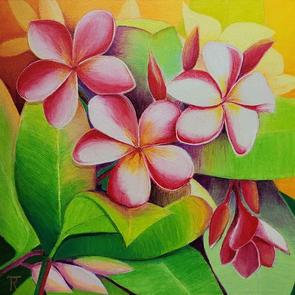 Plumeria Painting Acrylic Arto Galleria