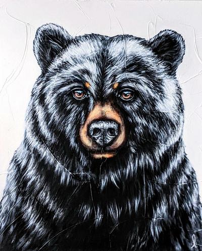 L'ours noir