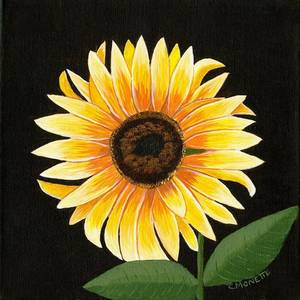 Abstract Sunflower