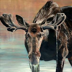 Velvet Moose