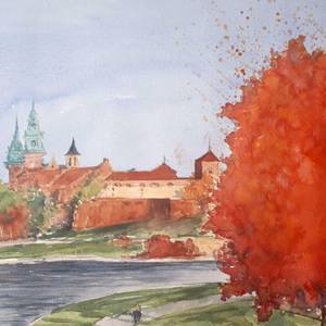 Chateau de Wawel-pologne