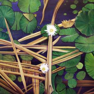 Reeds And Lily Pads