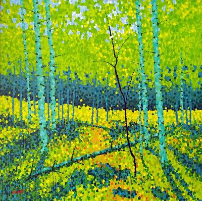Aspen Spring
