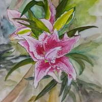 Shama Waris