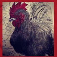 Rooster Zm